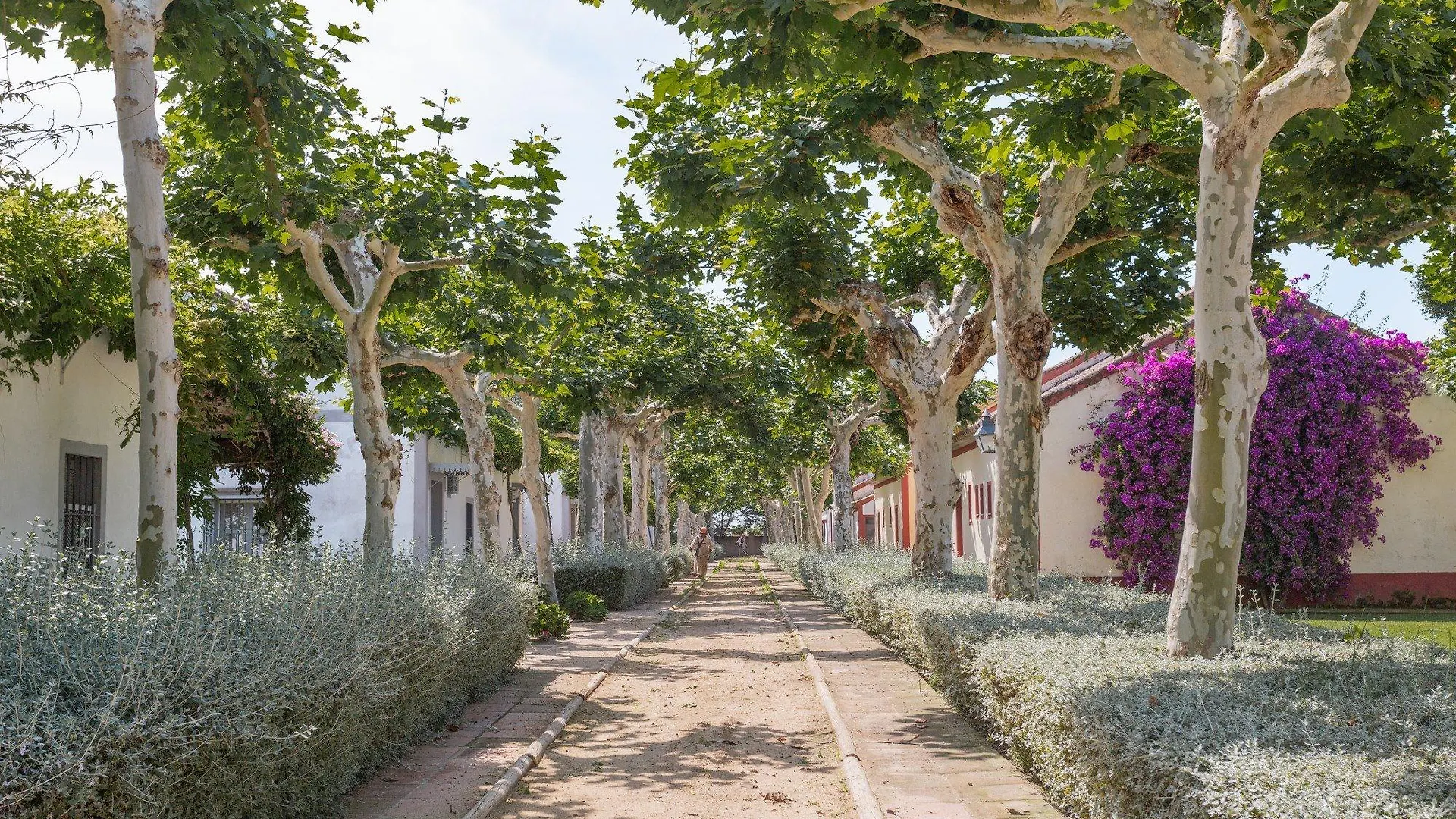 El Cortijo De Los Mimbrales Hotel アルモンテ